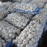 Новый белый свежий чеснок 2021 г.